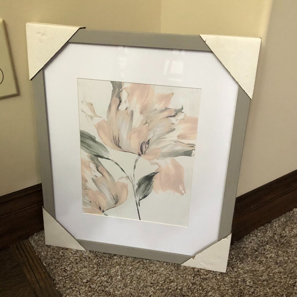 Delicate Blush Collection Wall Decor Picture From Hobby Lobby Brand New